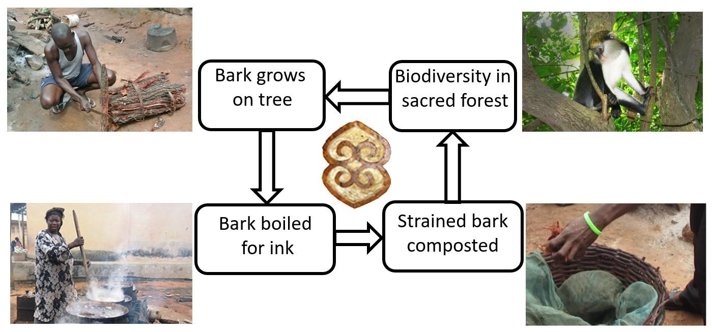 Graph of the cycle from tree bark to ink