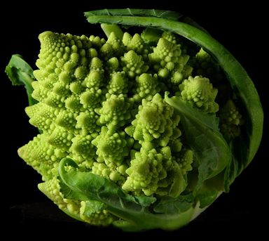 Fractal Broccoli