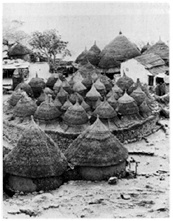 Photo of Mokoulek
