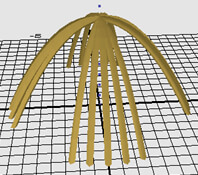 Daabii, 'Daabii's wigwam'