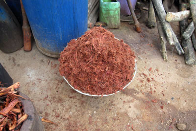 Pounding the Bark