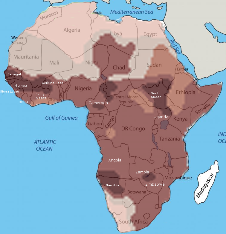 Skin color in Africa