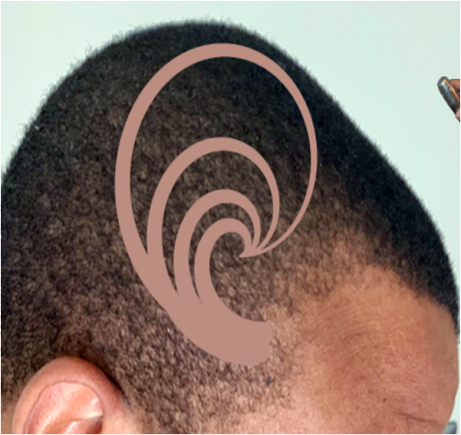 Logarithmic Spiral Challenge