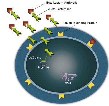 Resistance Mechanism