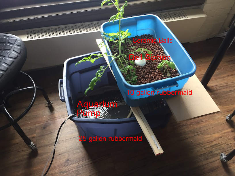 Aquaponics System