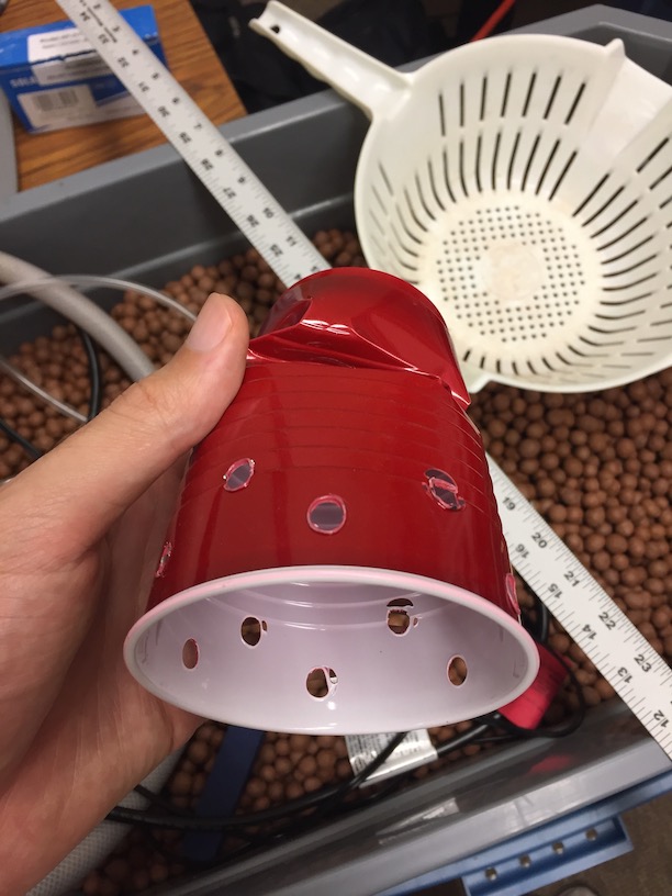 Aquaponics System