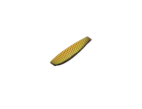 Jared Sireech, age 13. “Big Corn”