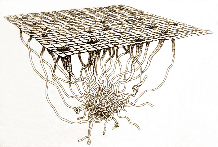 Woven Heaven, Tangled Earth